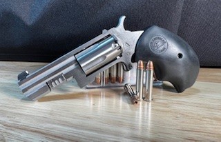 Photo of NAA Recluse