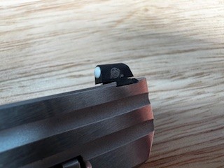 Photo of front gun sight 