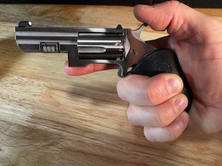 Photo of Recluse in the hand